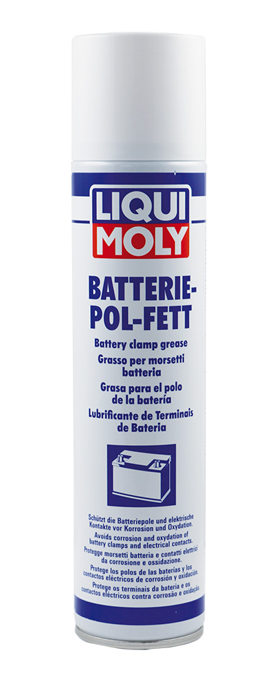 LIQUI MOLY Batterie-Pol-Fettspray – Hoelzle