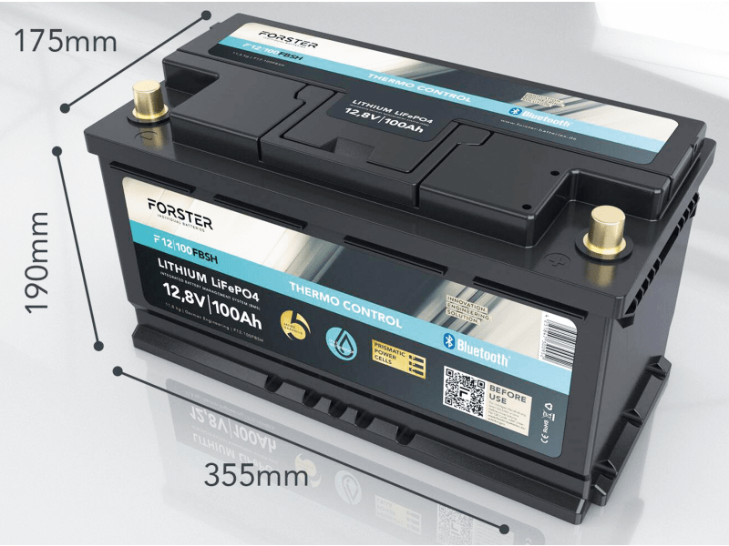 Power Queen Batterie LiFePO4 12V 100Ah - Parfaite Pour Camping-Car, Solaire Et VR, 100A BMS + 4000-15000 Cycles