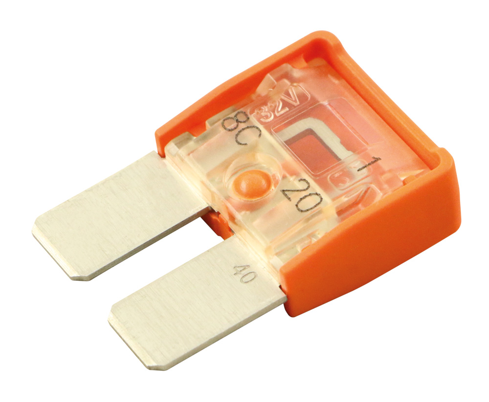 40 Amp. Hoelzle